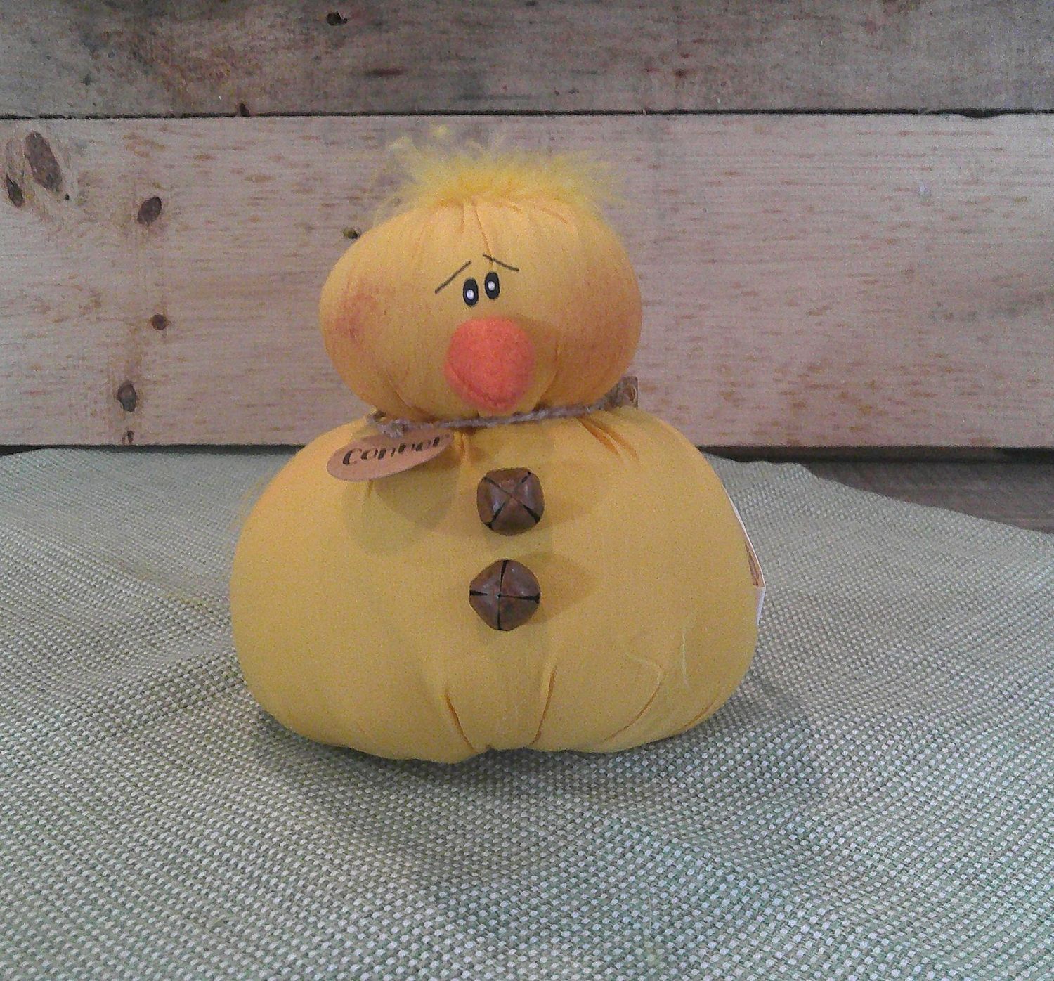 Conner The Chick