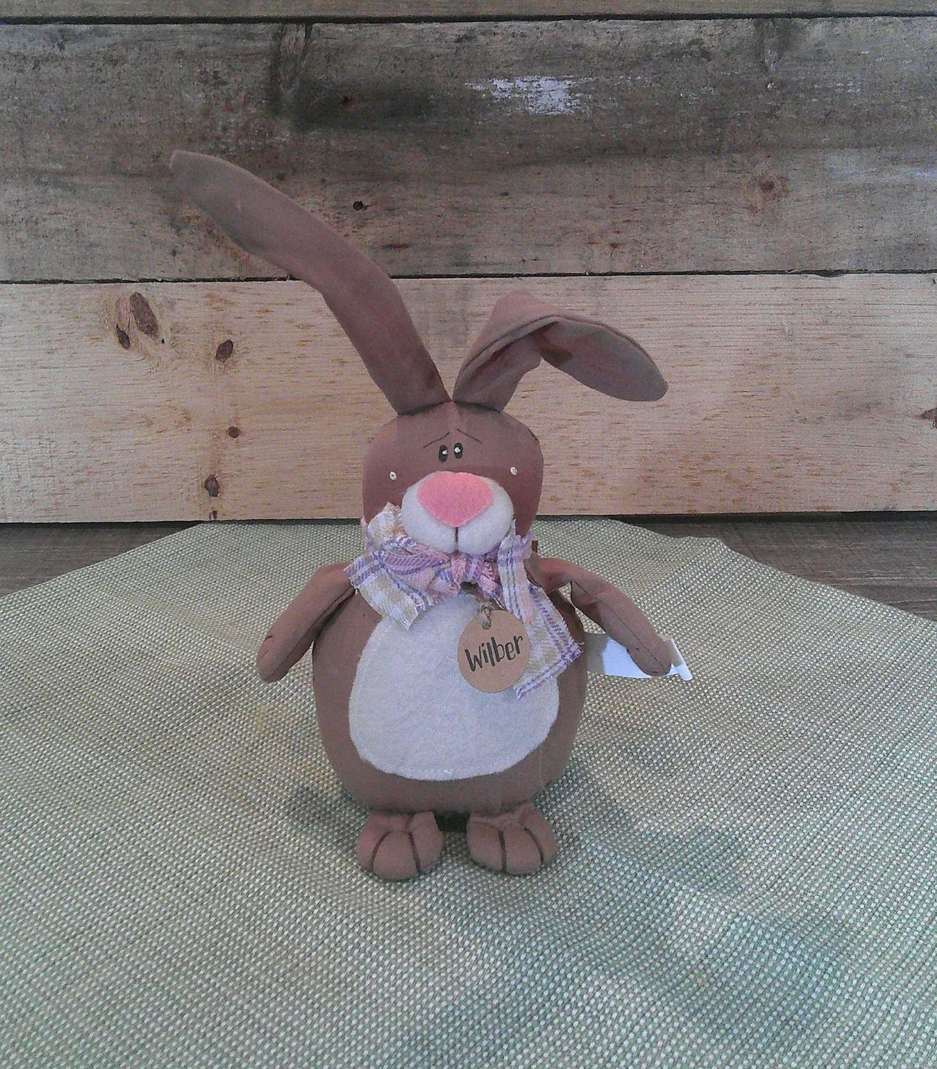 Wilber The Rabbit