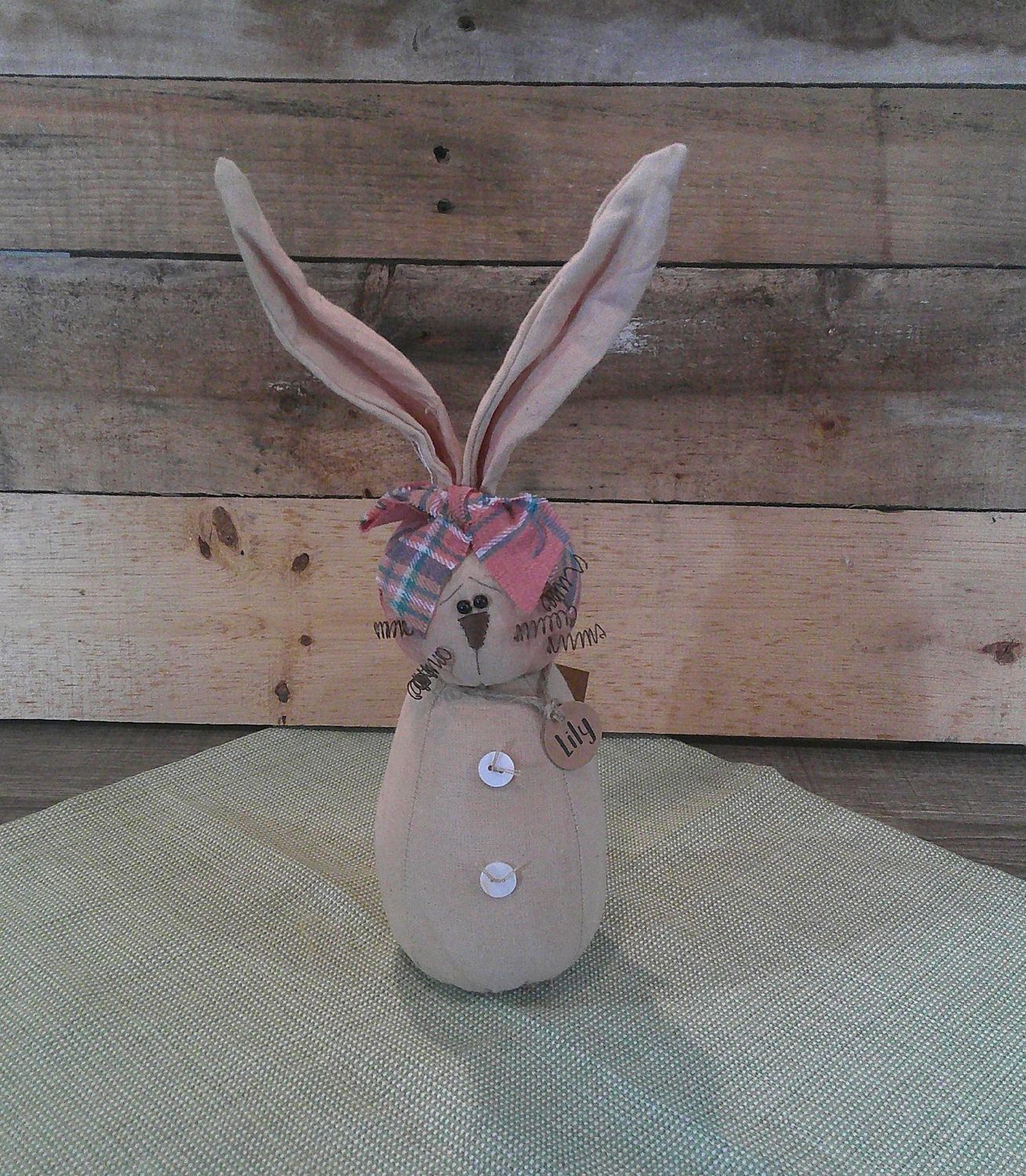 Lily The Bunny
