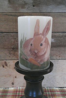 Brown Bunny & Carrot