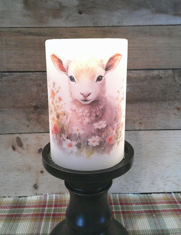 Spring Lamb