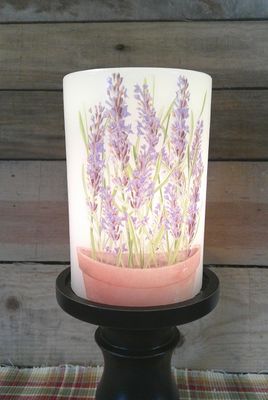Purple Lilac