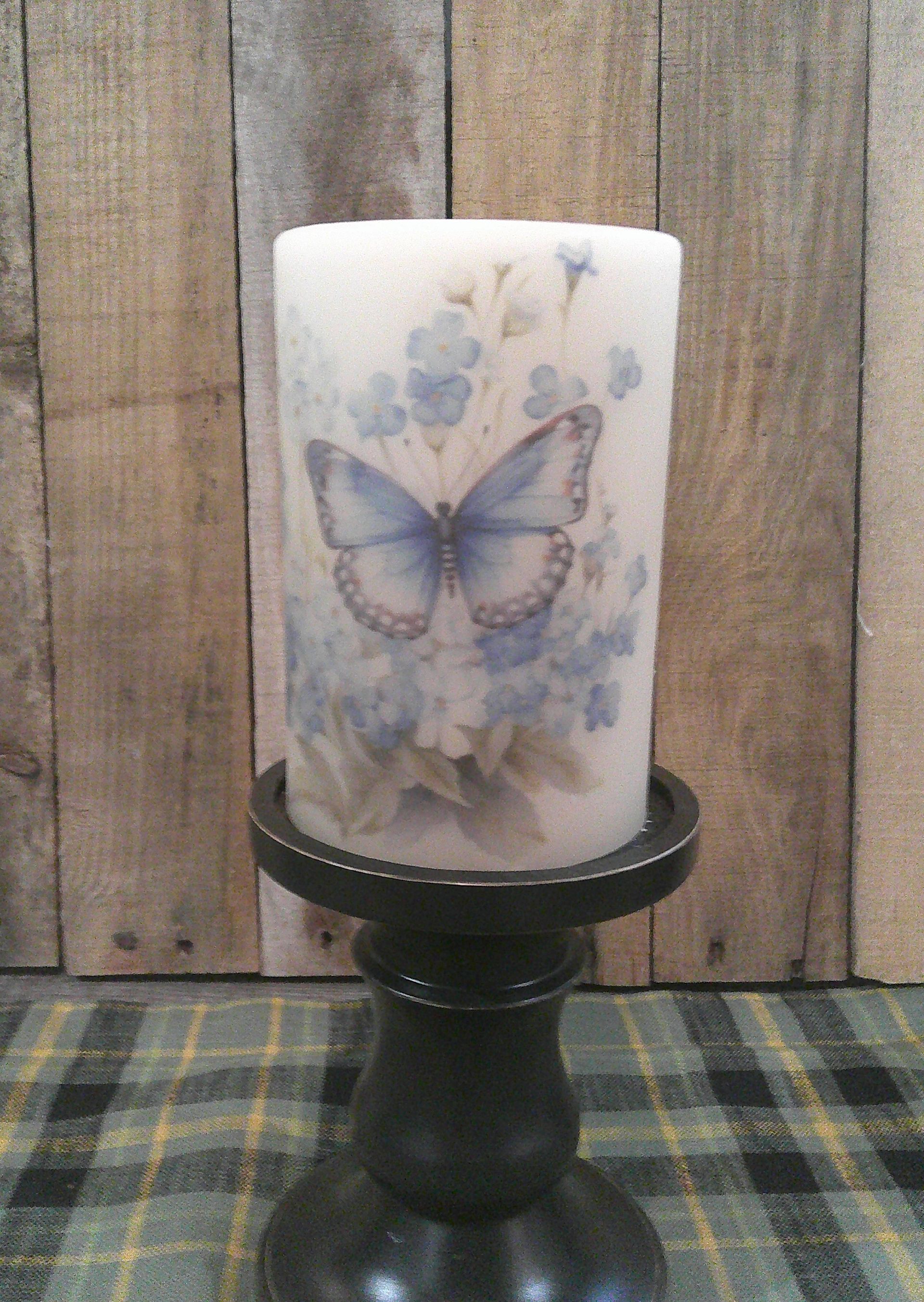 Forget-Me-Not Butterflies