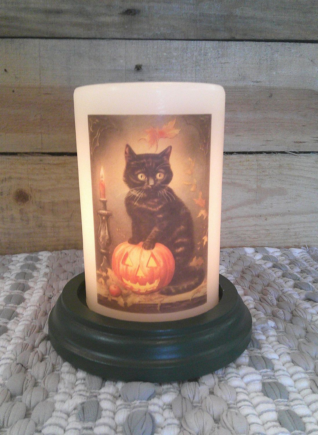 Cat & Jack