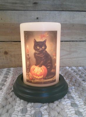 Cat & Jack