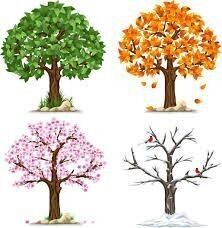Seasonal