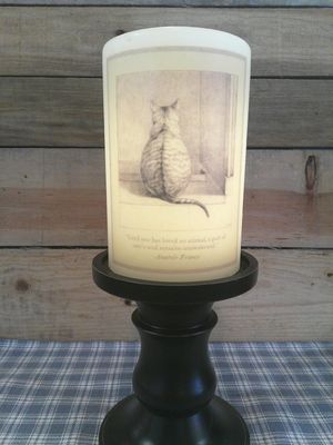 Love Of Cats