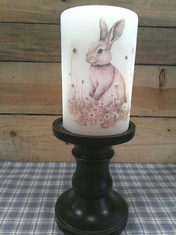 Natural Sketched Bunny