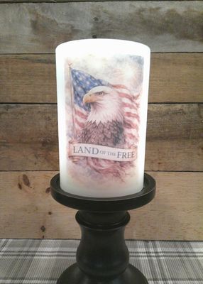 Freedom Eagle