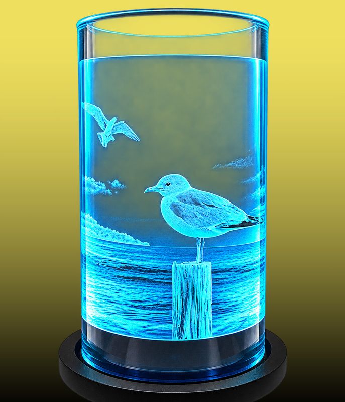 Seagulls
