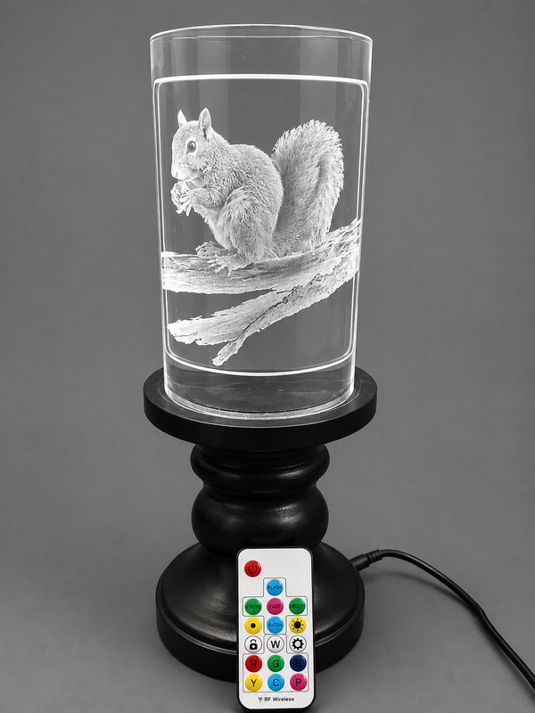 The Squirrel