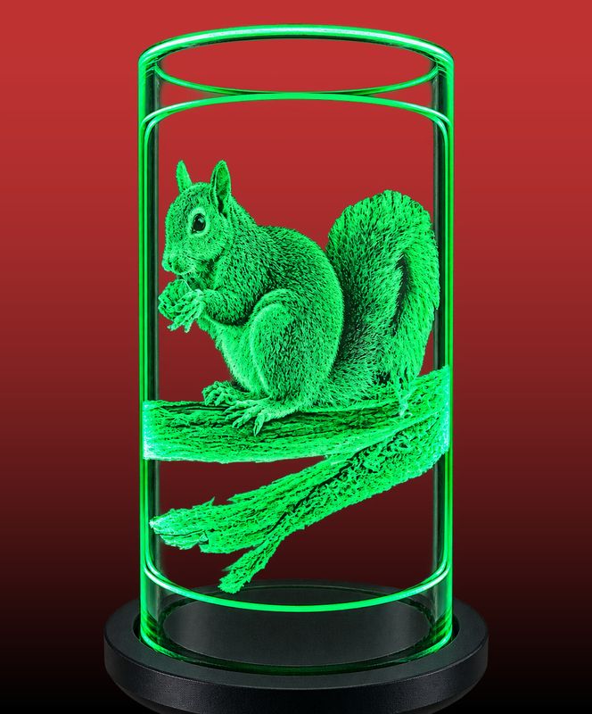 The Squirrel