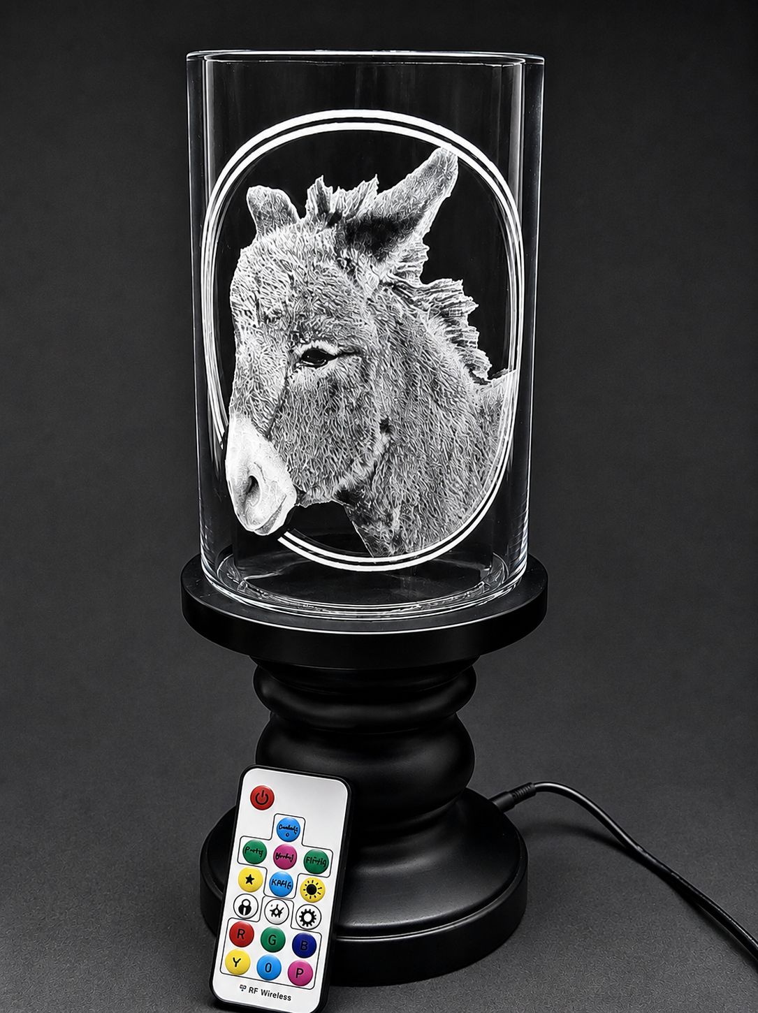 The Donkey The Donkey