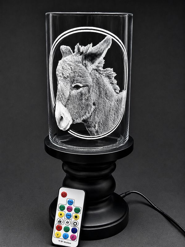 The Donkey