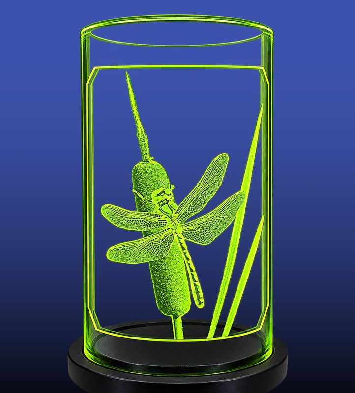 The Dragonfly