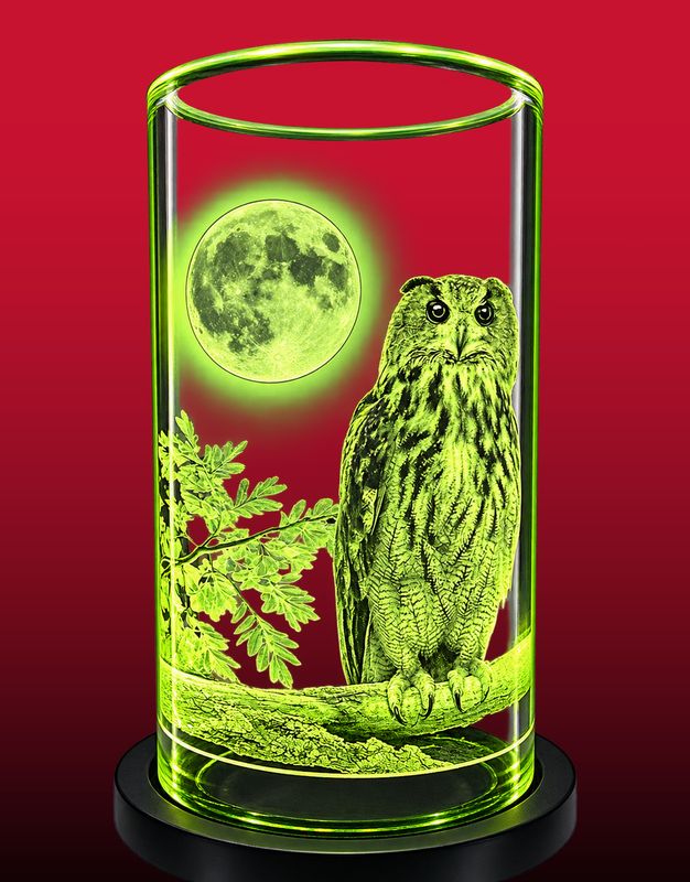 The Night Owl