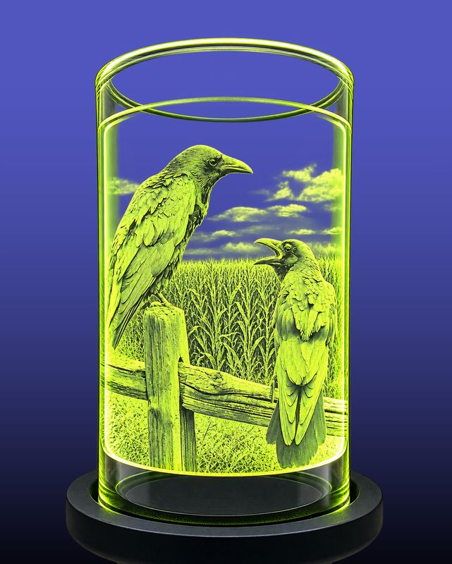 Chatty Crows