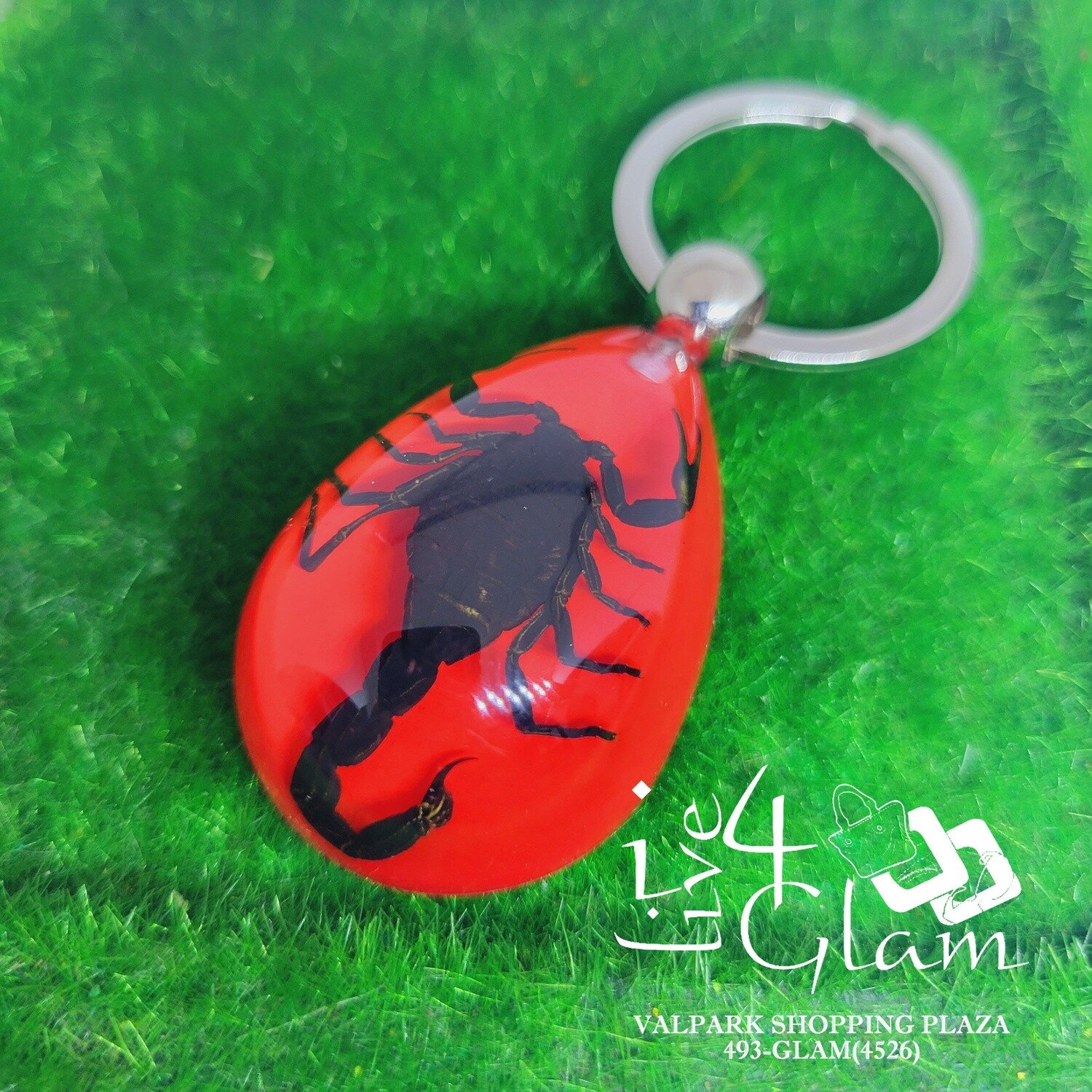 Real Animal Scorpion Key Ring, Color: Black/Red