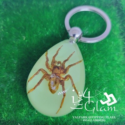 Real Animal Glow In The Dark Spider Key Ring
