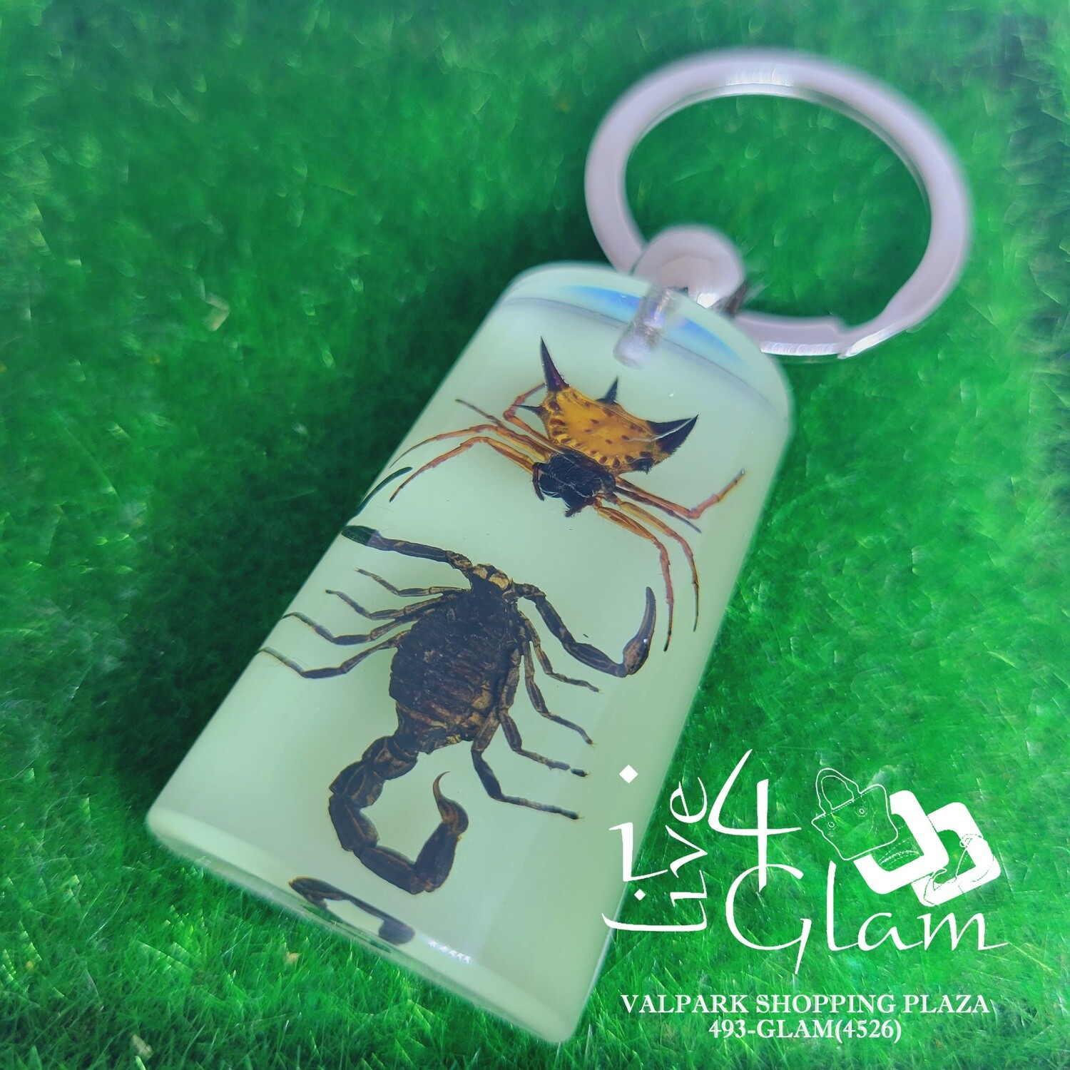Real Animal Glow In The Dark Spider and Scorpion Key Ring