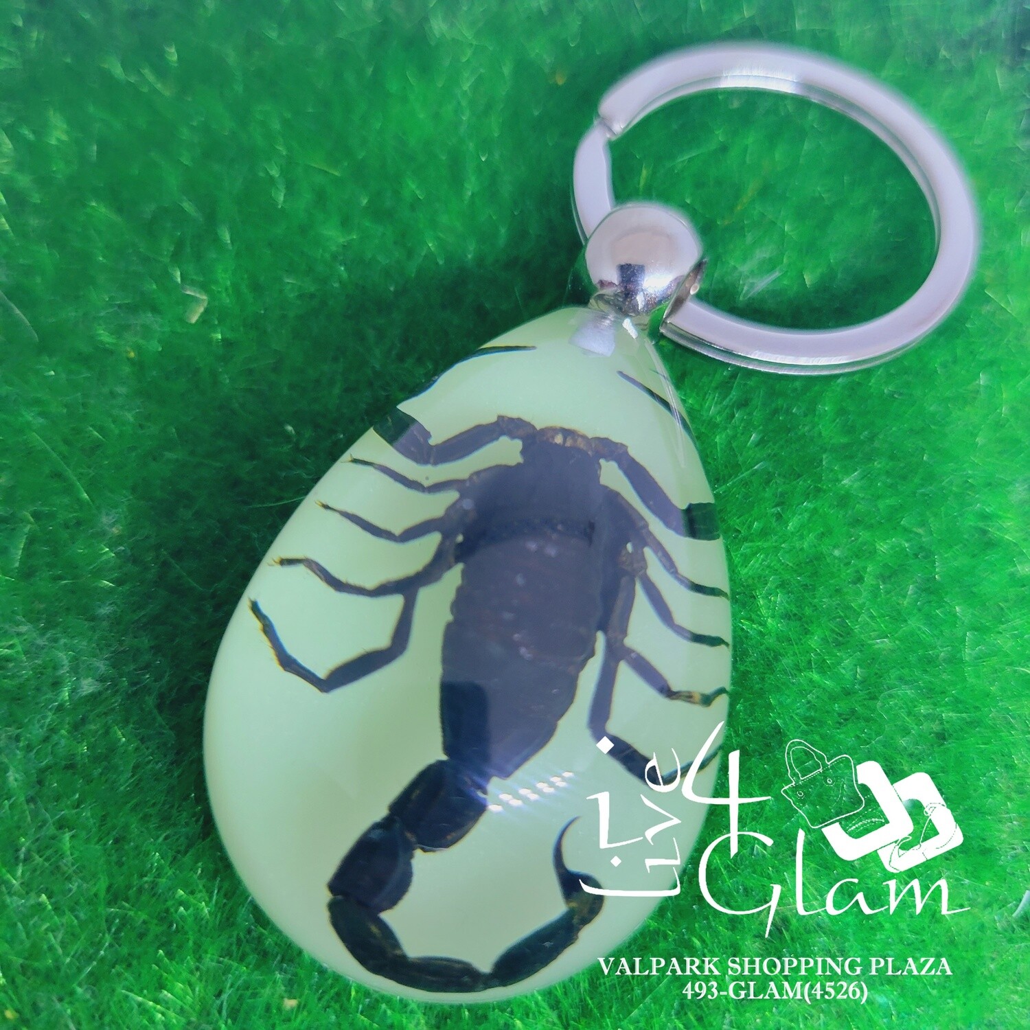 Real Animal Glow In The Dark  Scorpion Key Ring , Color: Black