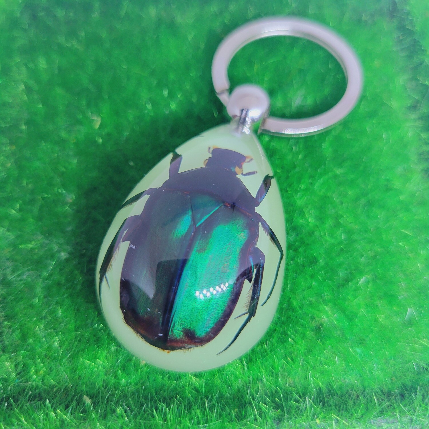 Real Animal Glow In The Dark Beetle Key Ring