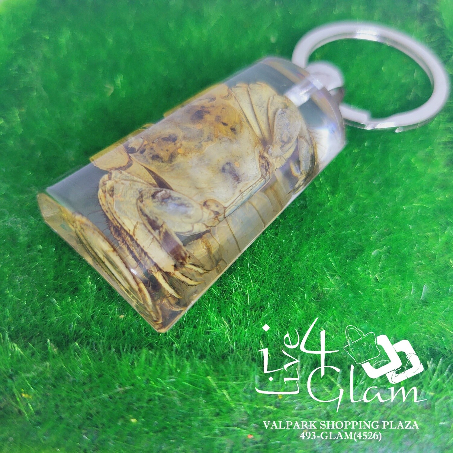 Real Animal Crab Key Ring