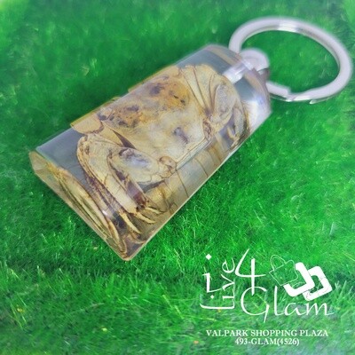 Real Animal Crab Key Ring