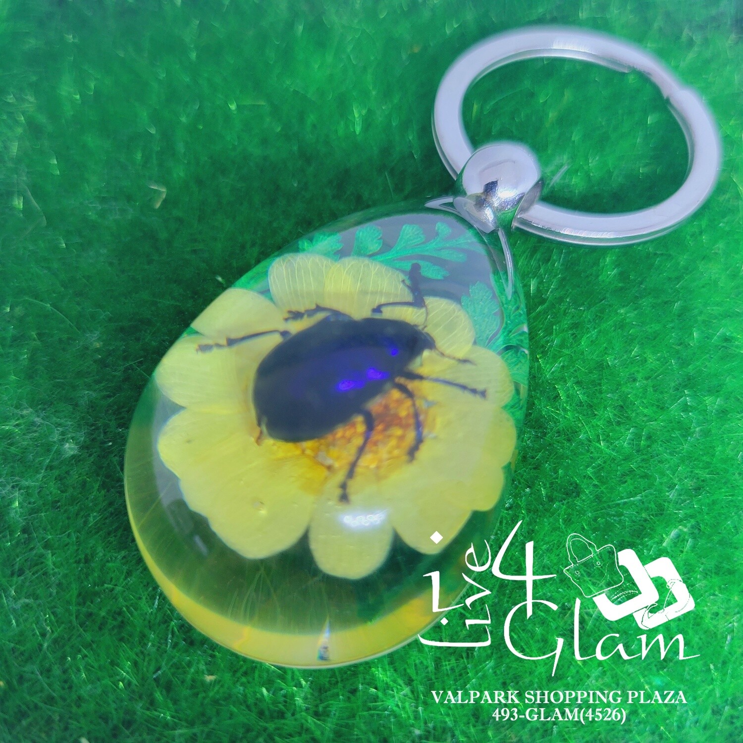 Real Animal Blue Beetle Key Ring