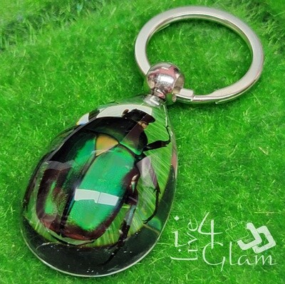 Real Animal Beetle Key Ring
