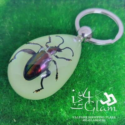Real Animal Glow In The Dark Jewel Frog Beetle Key Ring