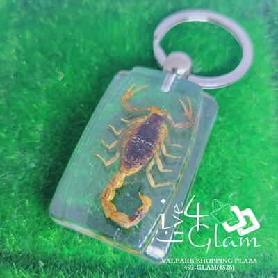 Real Animal Scorpion Key Ring