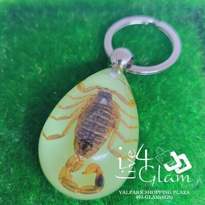 Real Animal Glow In The Dark Medium Scorpion Key Ring