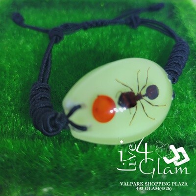 Real Animal Glow In The Dark Ant and Bean Bracelet Medium