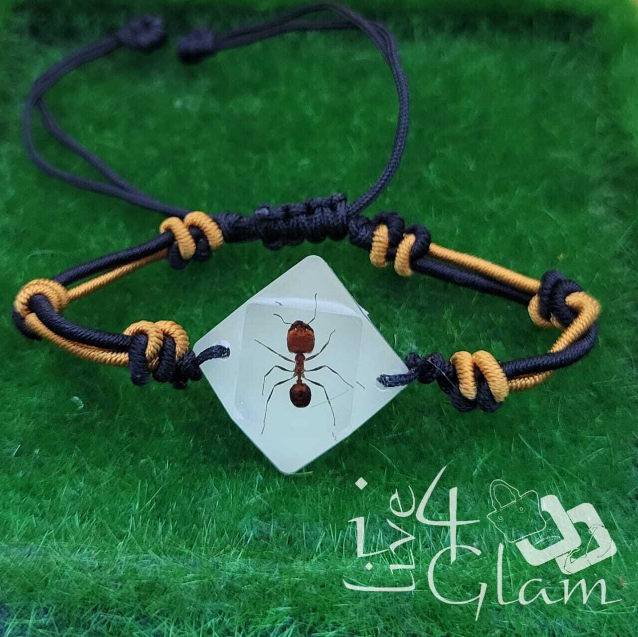 Real Animal Glow In The Dark Ant Bracelet Small