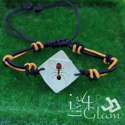 Real Animal Glow In The Dark Ant Bracelet Small