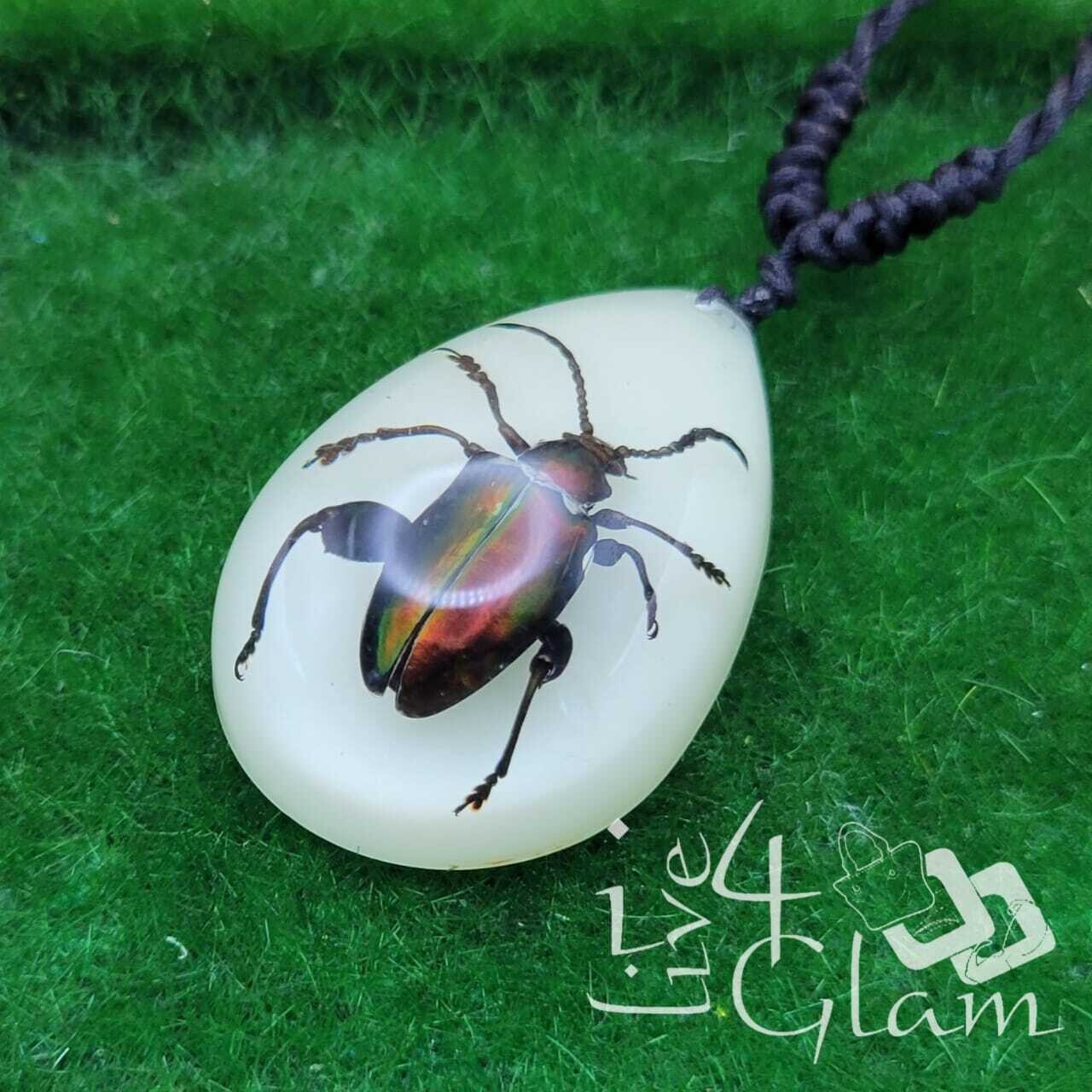 Real Animal Jewel Frog  Beetle Glow In The Dark Chain Large
