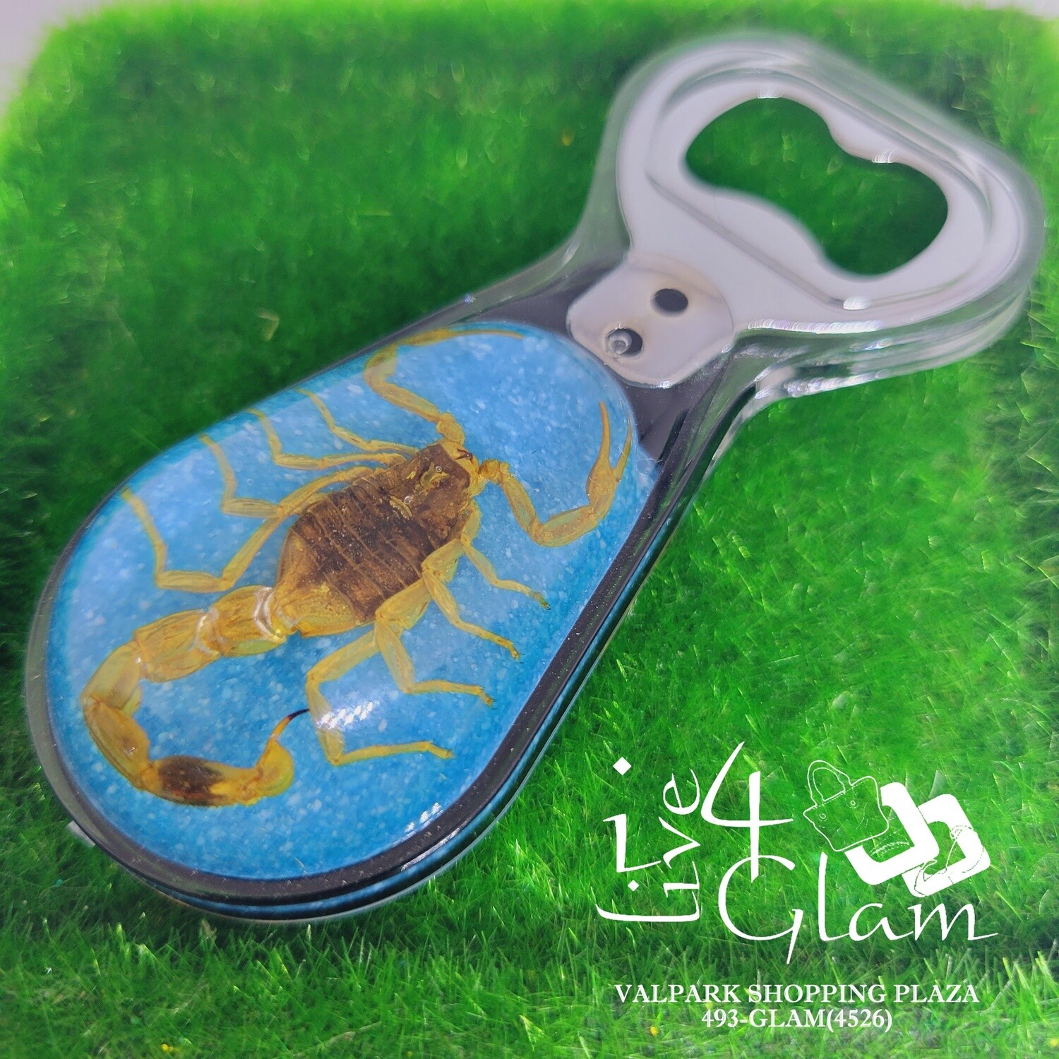 Real Animal Scorpion Bottle Opener