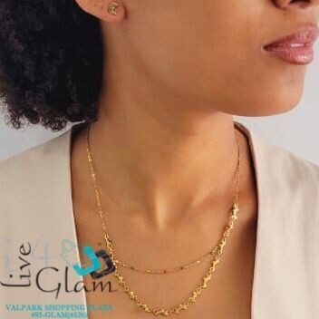 Stainless Steel Dolphin Chain and Earring Set