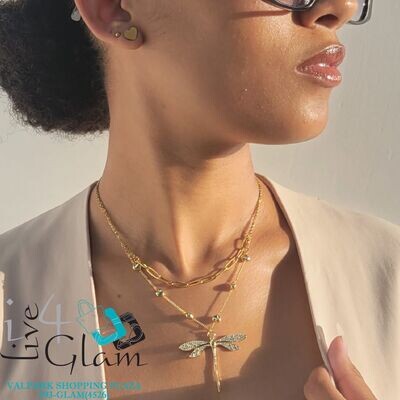 Stainless Steel Dragon Fly and Heart Paper Clip Chain Set
