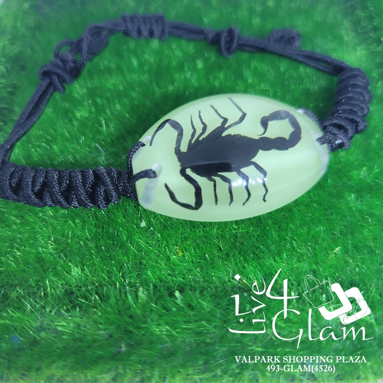 Real Animal Glow In The Dark Scorpion Bracelet Medium, Color: Black