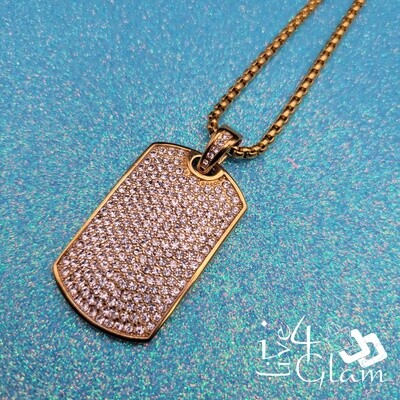 Stainless Steel Chain and Pendant Set