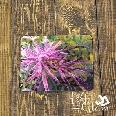 Platinum Buffalo Marijuana Leaves 3D Magnet
