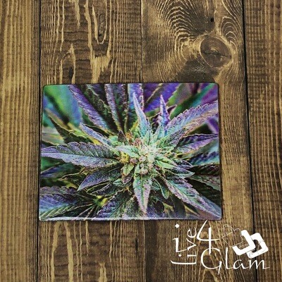 Bud Purple Kush  3D Magnet