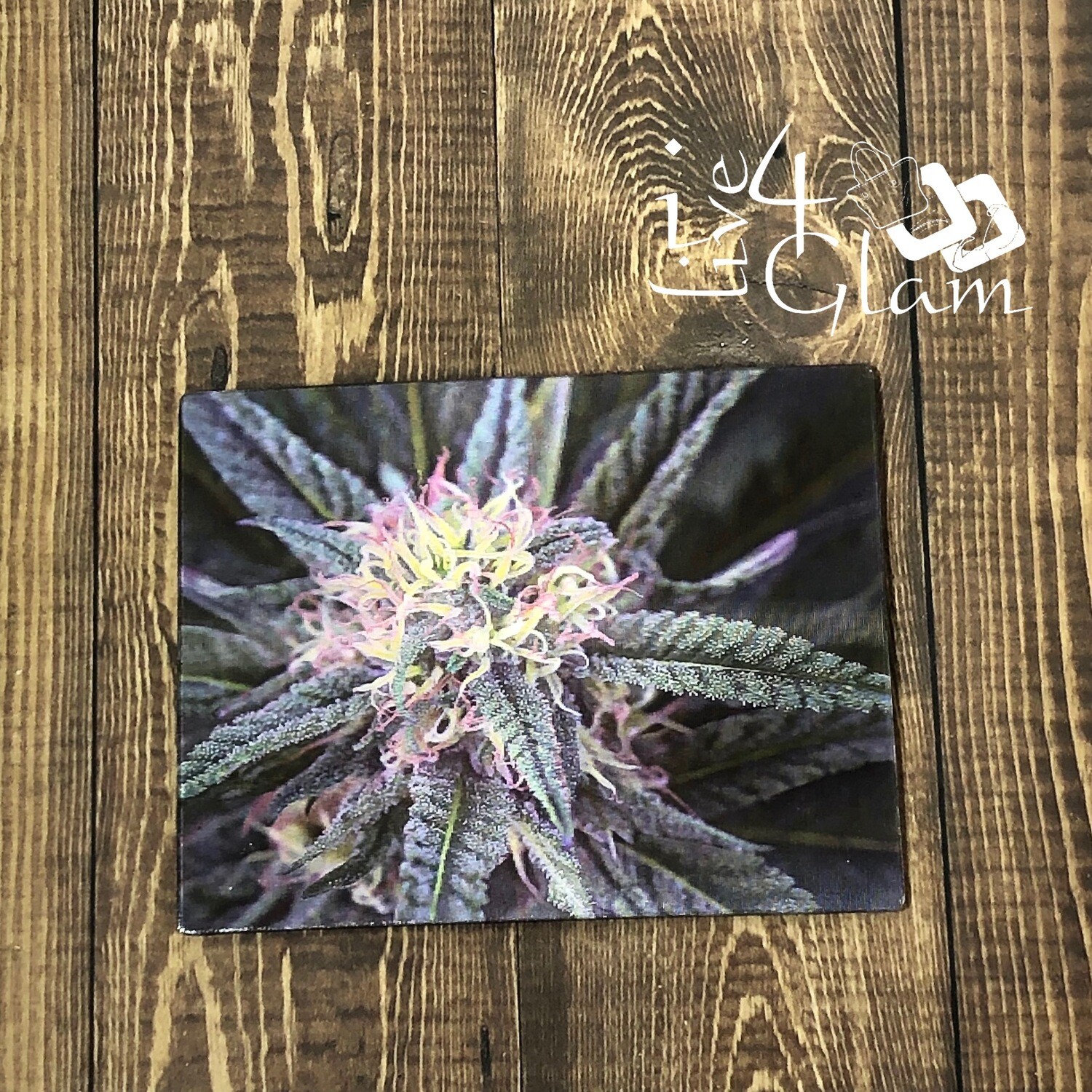Canna Flower 3D Magnet