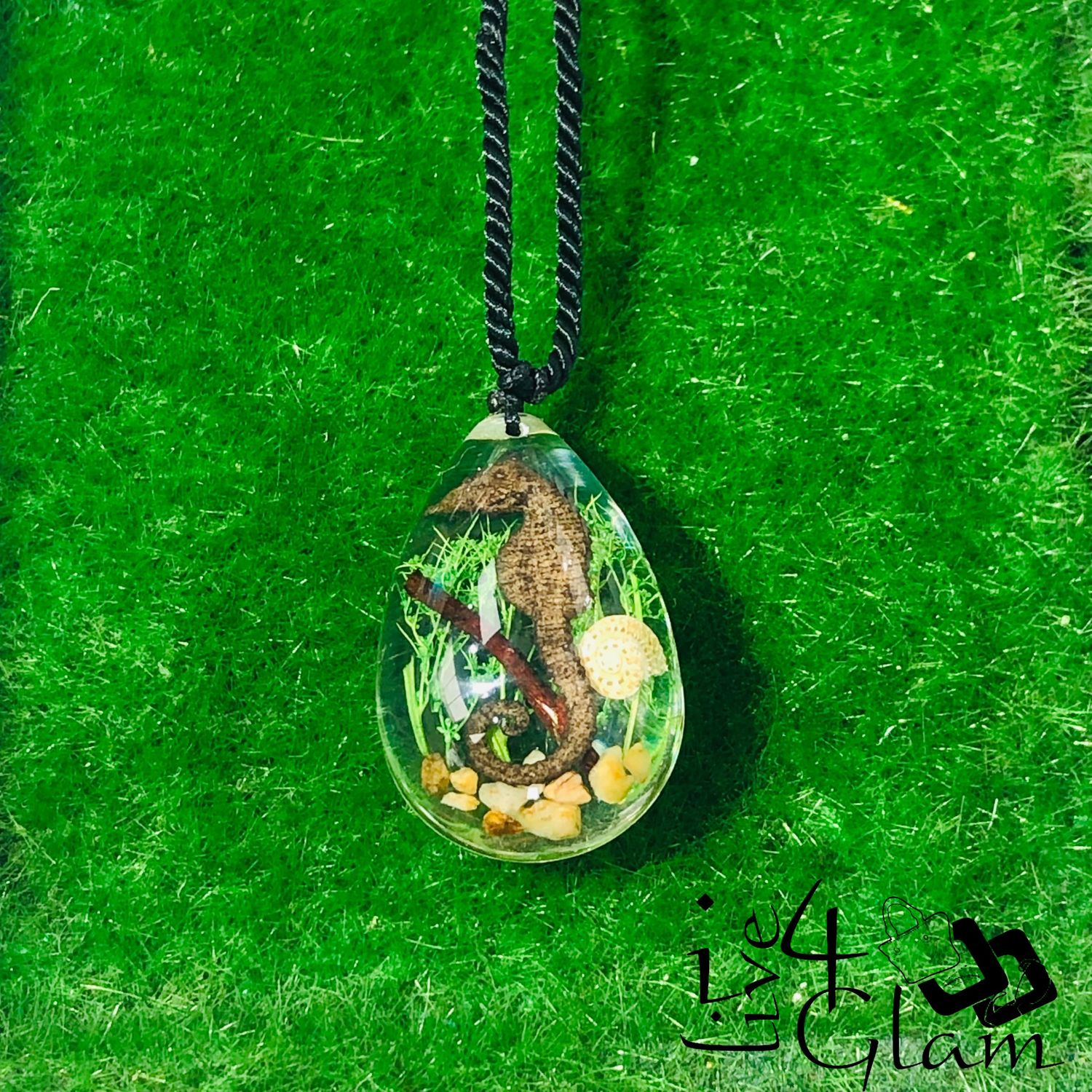 Real Animal Seahorse Necklace, Color: Clear