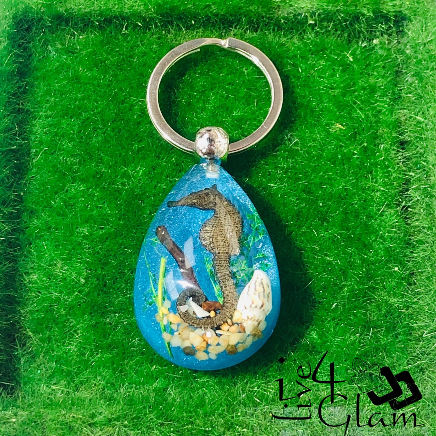 Real Animal Seahorse Teardrop Shape Keychain