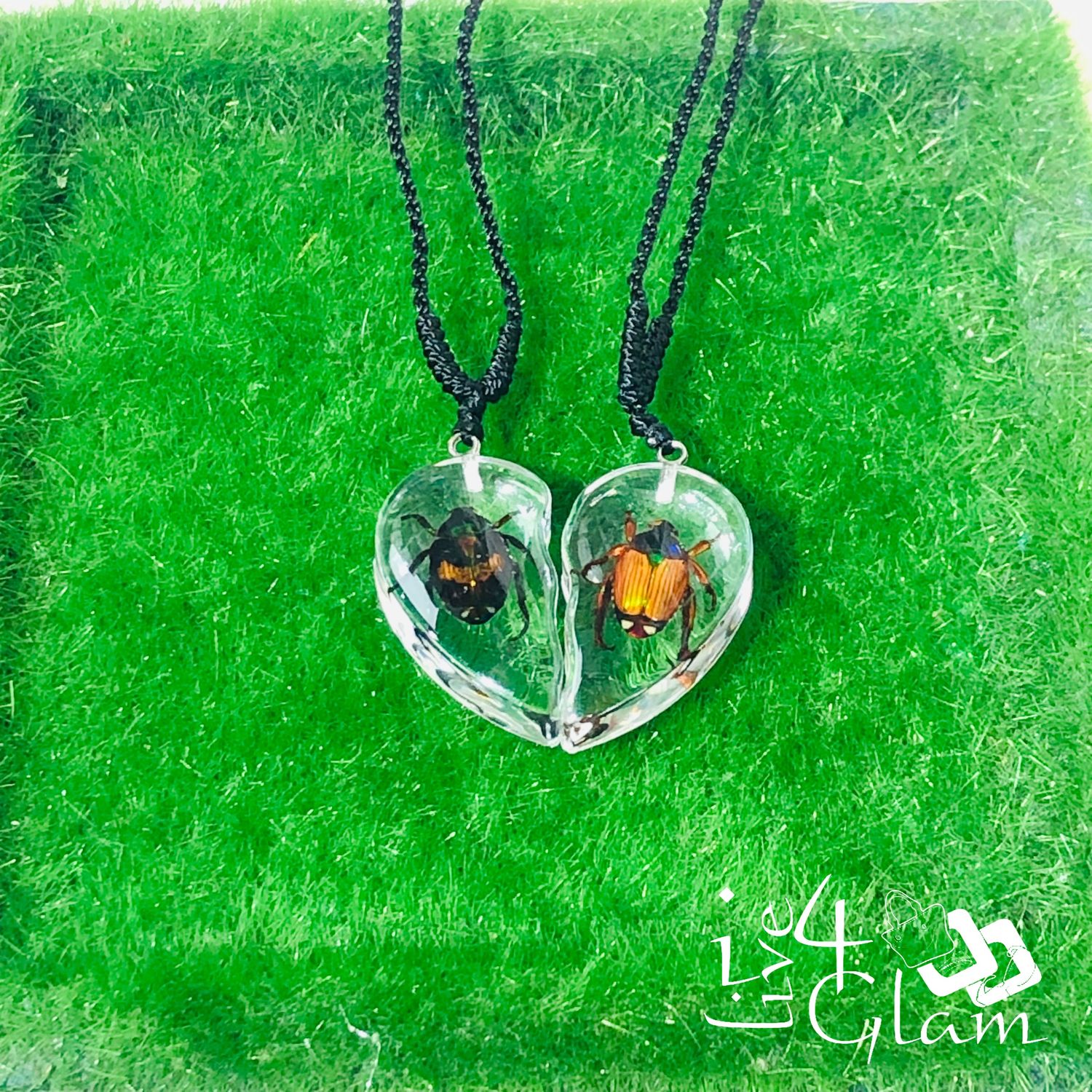 His/Hers Beetle Real Animal Necklace