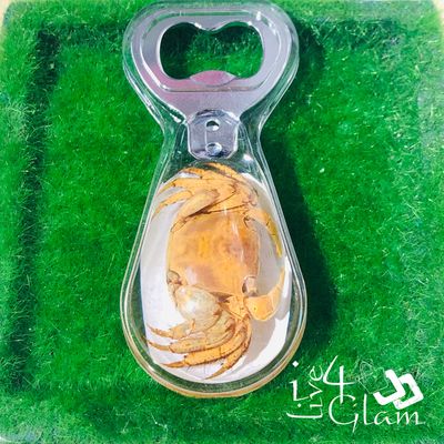 Real Animal Crab Bottle Opener