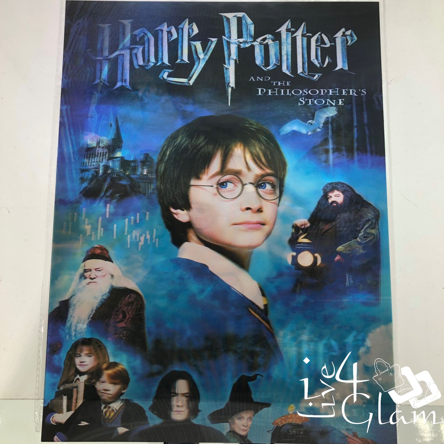 3D Holographic Poster Harry Potter